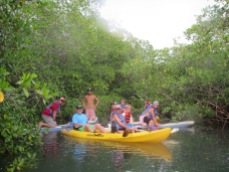 Sea kayak & paddle board tour through the mangroves on Christmas day!